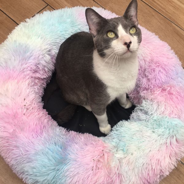 Camita Donut Unicornio SUPER SUAVECITA - Imagen 6